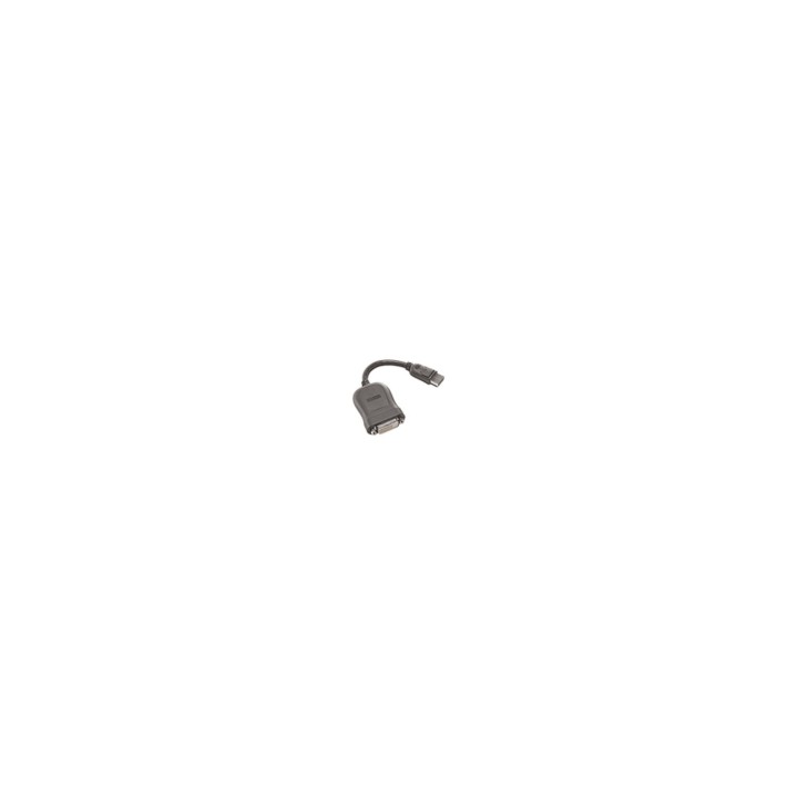 Lenovo cable gender changer DVI-D DisplayPort 0,2 m
