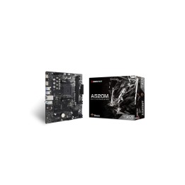 Biostar A520MT Placa base