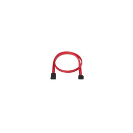 CABLE SATA DATOS ACODADO PARA DISCO DURO  ROJO 0.5M 10.18.0202-OEM