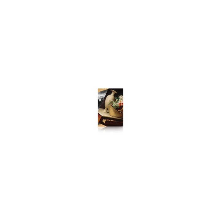 Papel Epson Premium Luster Photo Paper, 60 C13S042134