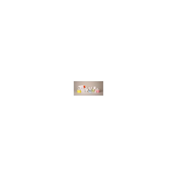 Zebra DT Label Etiqueta 51x25mm