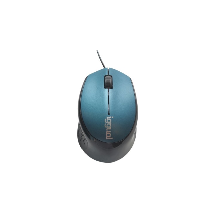 iggual IGG317556 ratón mano derecha USB tipo A Í“ptico 800 DPI