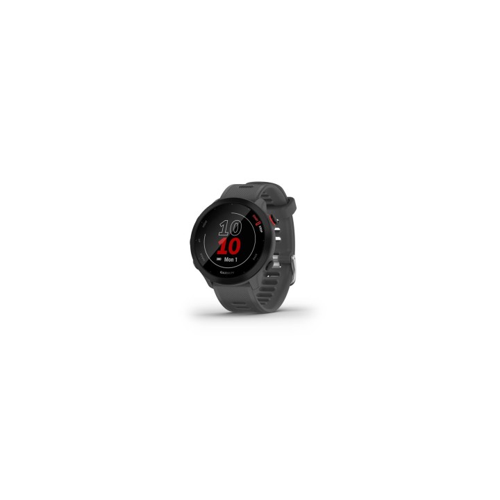 Garmin 010-02562-13 Relojes inteligentes y deportivos MIP 42 mm Gris GPS (satélite)