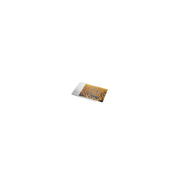 Esselte 67691 alfombrilla para ratón Transparente, Blanco