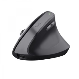 Trust TM-270 ratón mano derecha RF inalámbrico Í“ptico 2400 DPI