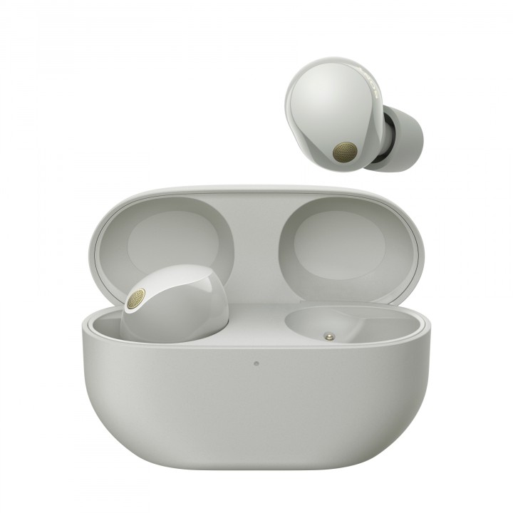 Sony WF-1000XM5 Auriculares Inalámbrico Dentro de oÍ­do Llamadas/Música Bluetooth Plata