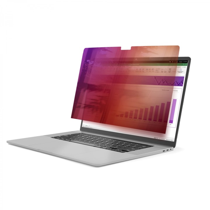StarTech.com 162MG-PRIVACY-SCREEN filtro para monitor Filtro de privacidad para pantallas sin marco 40,6 cm (16")