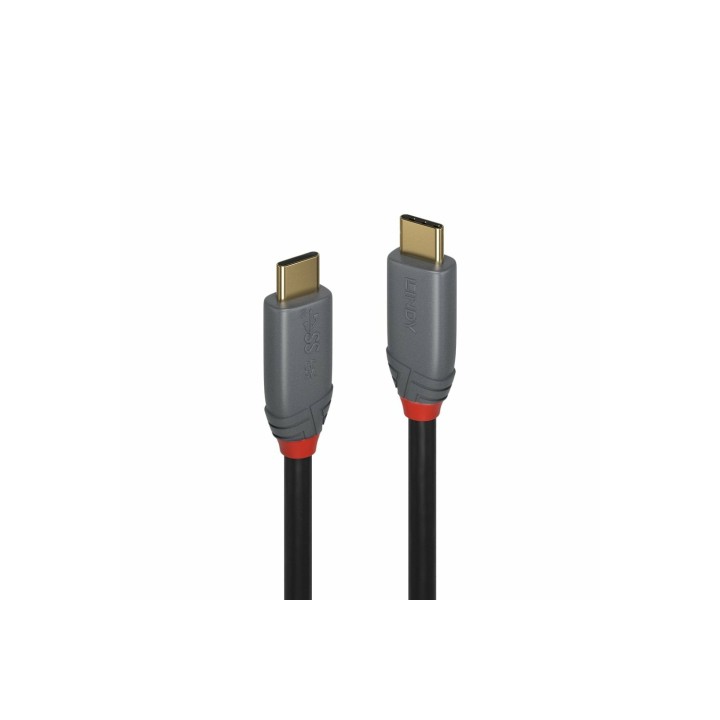 Lindy 36903 cable USB USB 3.2 Gen 2 (3.1 Gen 2) 2 m USB C Negro