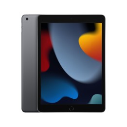 Apple iPad 256 GB 25,9 cm (10.2") Wi-Fi 5 (802.11ac) iPadOS 15 Gris