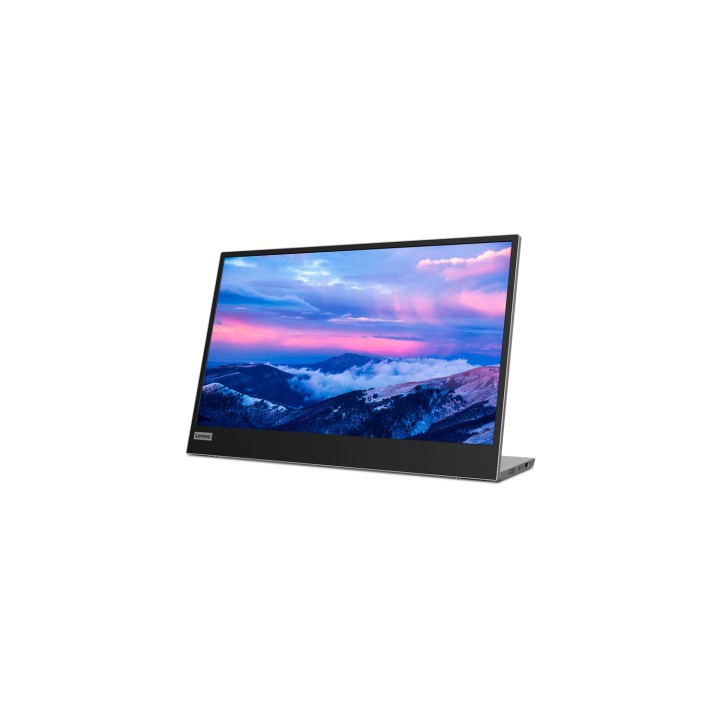 Lenovo L15 LED display 39,6 cm (15.6") 1920 x 1080 Pixeles Full HD Negro, Gris