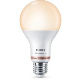 Philips Bombilla 13 W (Equiv. 100 W) A67 E27