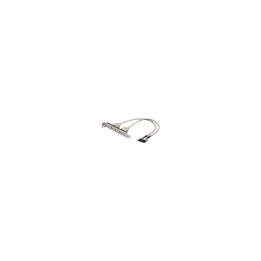 ADAPTADOR 2 X 5 PIN A USB H EWENT EW-100303-002-G-P