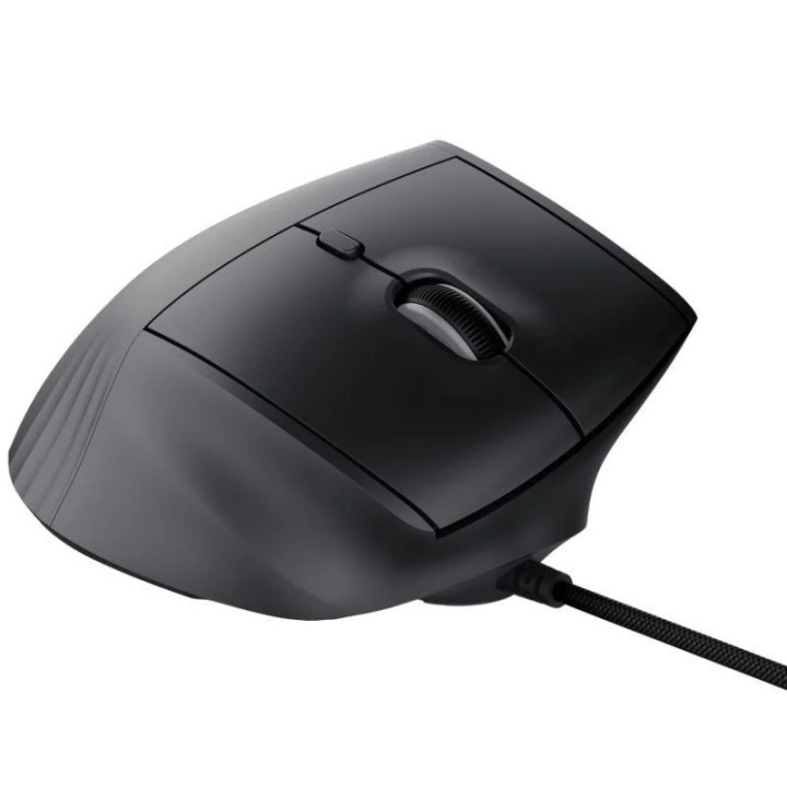 RATON TRUST GXT 145 REXXA USB RGB ERGONOMIC BLACK