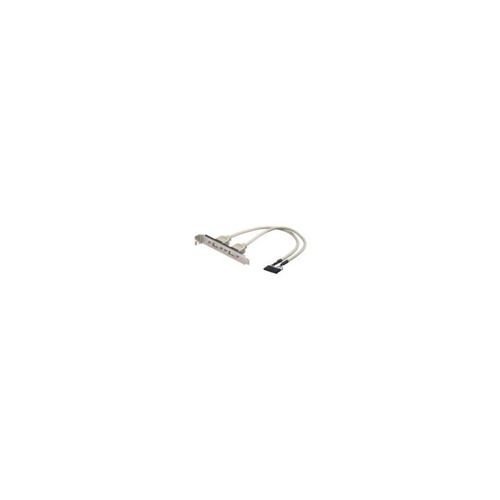 ADAPTADOR 2 X 5 PIN A USB H EWENT EW-100303-002-G-P