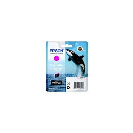CARTUCHO EPSON T7603 MAGENTA VIVO C13T76034010