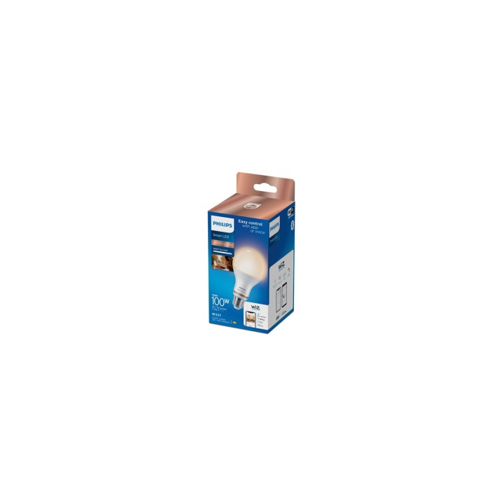 Philips Bombilla 13 W (Equiv. 100 W) A67 E27