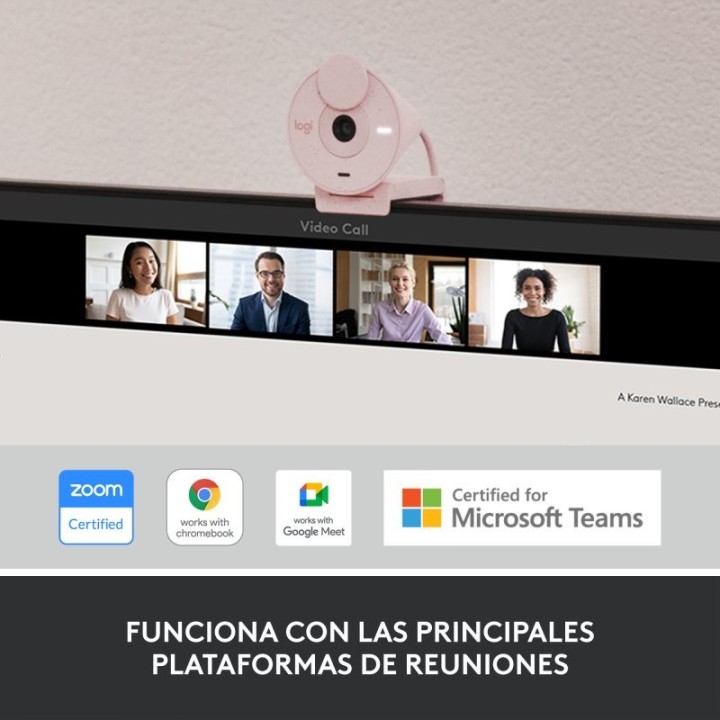 WEBCAM LOGITECH BRIO 300 FHD USB-C ROSE