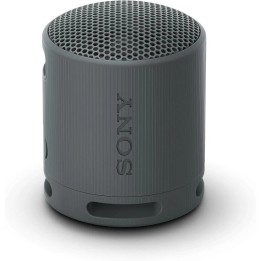 ALTAVOZ SONY XB100 WIRELESS BLUETOOTH 5.3 IP67 BLACK