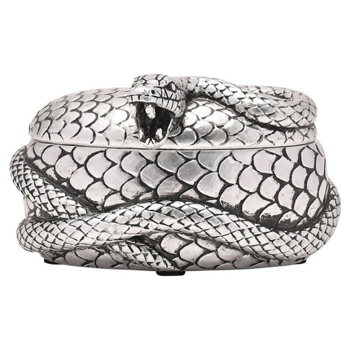 Joyero Nagini Harry Potter