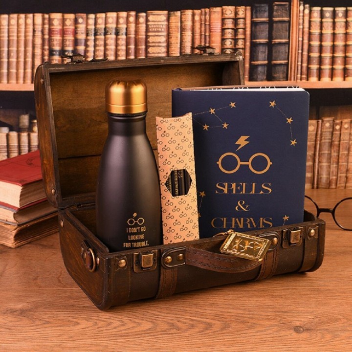 Set regalo premium Harry Potter