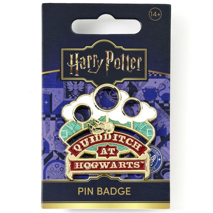 Pin Quidditch at Hogwarts Harry Potter