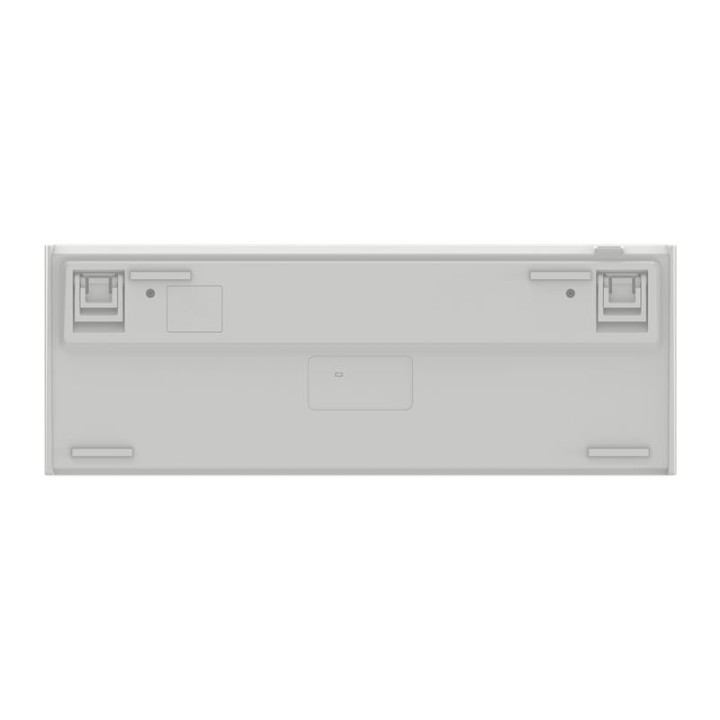 TECLADO PHOENIX ROYAL GAMING MECANICO TKL USB RGB WHITE
