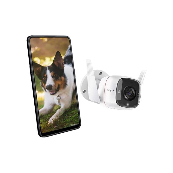 Tp-Link Tapo TC65 Cámara de Vigilancia Exterior IP66, 2K, 3MP, Visión nocturna, WiFi, Alarma