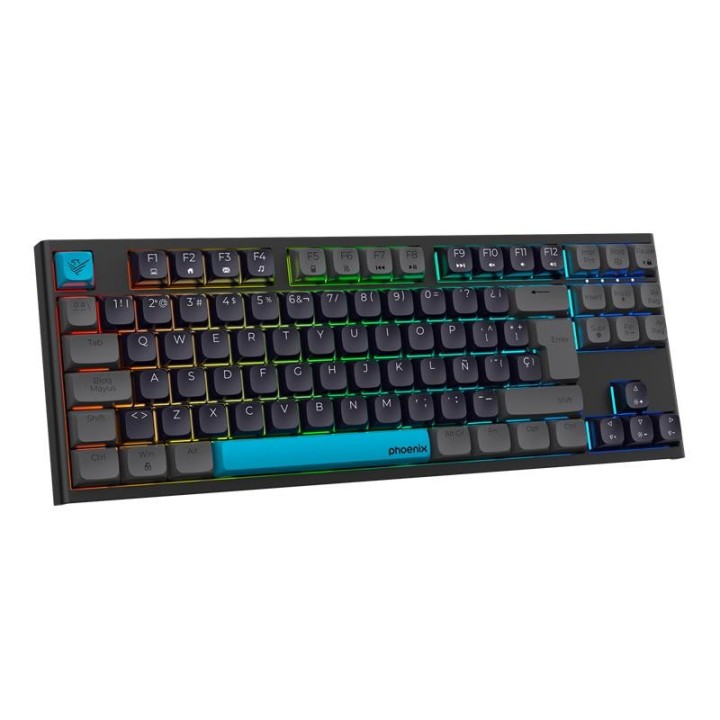 TECLADO PHOENIX ROYAL GAMING MECANICO USB RGB BLACK