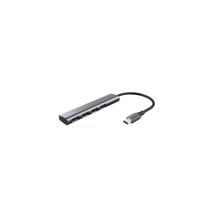 Trust Halyx USB 3.2 Gen 1 (3.1 Gen 1) Type-A 5 Mbit/s Gris