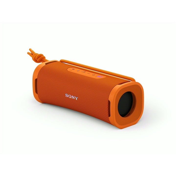 Sony SRSULT10D altavoz portátil o de fiesta Altavoz monofónico portátil Negro 30 W