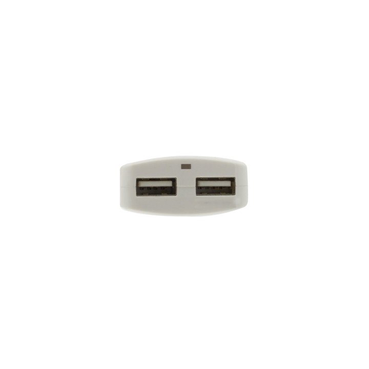 CARGADOR EWENT EW1302 2 PUERTOS USB 2.4 (12W)