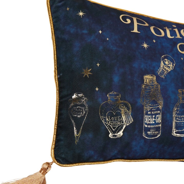 Cojin velvet Potions Class Harry Potter