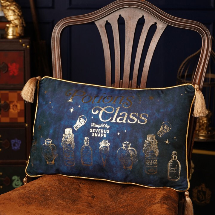 Cojin velvet Potions Class Harry Potter