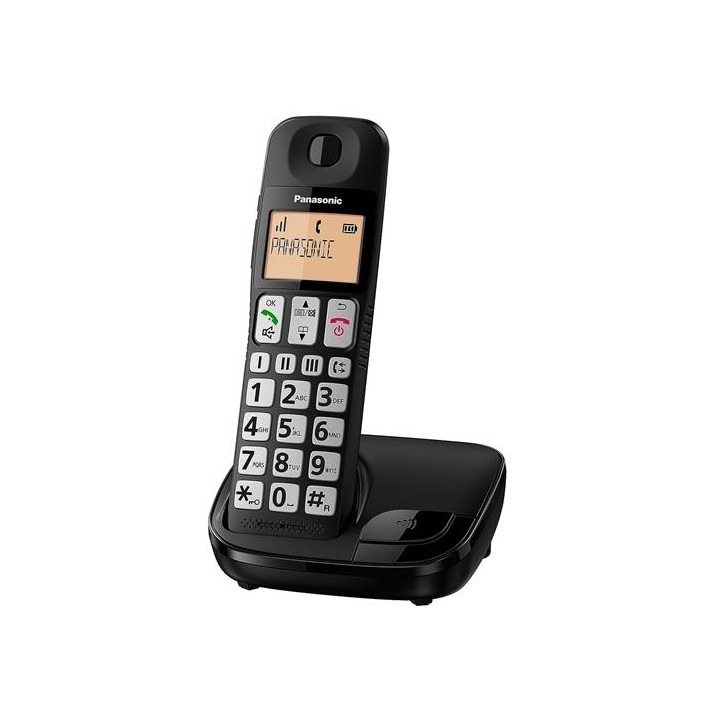 Panasonic KX-TGE310SPB Teléfono Para Mayores con Teclas Grandes