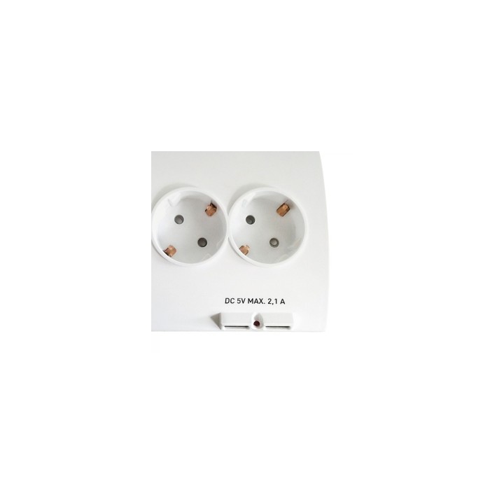 REGLETA EWENT 5 TOMAS SCHUKO 2 USB EW3935