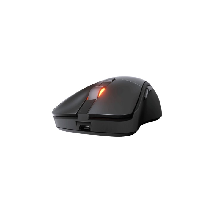 RATON COUGAR SURPASSION RX OPTICAL INALAMBRICO NEGRO 3MSRFWOB.0001