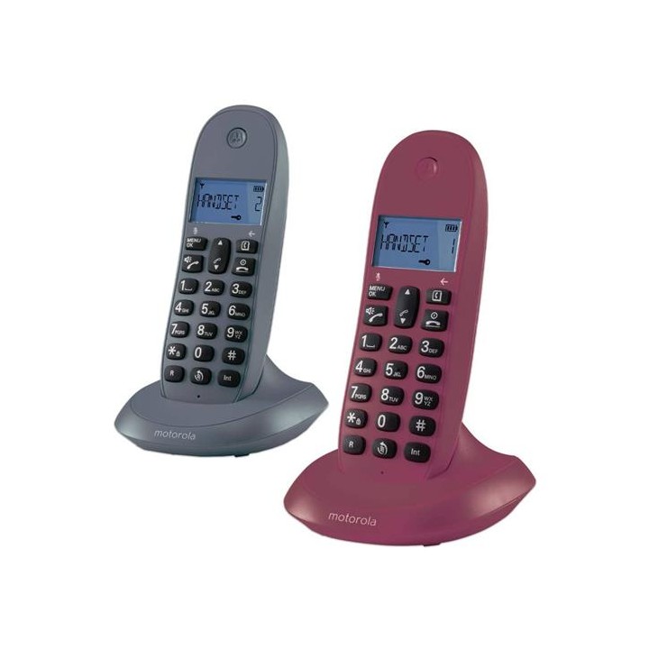 Motorola C1002LB+ Teléfono Inalámbrico DUO Gris y Granate