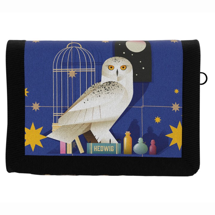 Blister Cartera + llavero Harry Potter