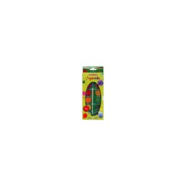 ACUARELAS ALPINO AQUARELLE 12 COLORES INTENSOS Y BRILLANTES PINCEL INCLUIDO AQ000001