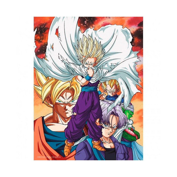 Poster cristal Heroes vs Cell Dragon Ball Z