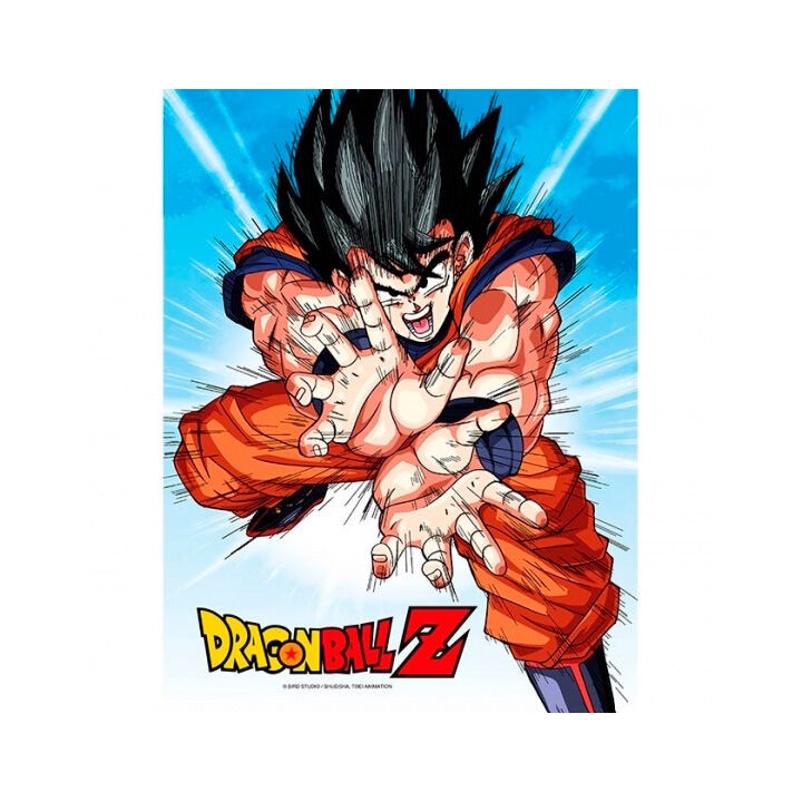 Poster cristal Goku Kame Dragon Ball Z