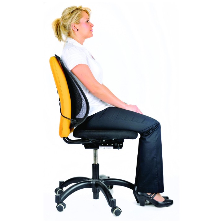 Fellowes CojÍ­n Lumbar Mesh Office Suites